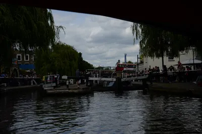 DSC_2784 (Large).JPG